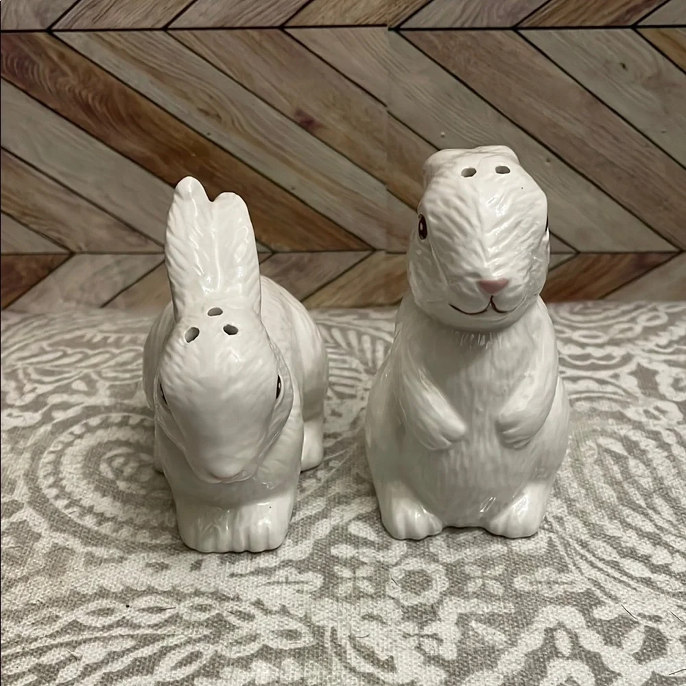 Pier 1 Imports Bunny‎ Rabbit Salt and Pepper Shakers